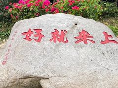 -普陀山风景区-佛顶山