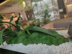 -马家斑.鲜鱼火锅(松湖万科店)