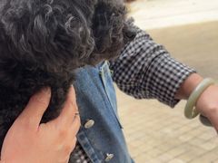 -瑞派名望24h动物医院异宠专科·猫专科·骨科·重症监护分院