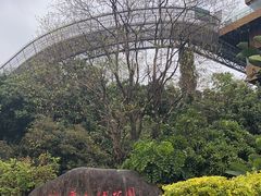 -福道