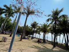 -深圳湾公园(南山区)