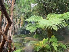 -Chom Cafe and Restaurant