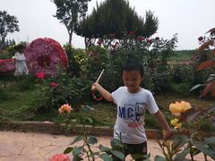 -武汉紫薇都市田园