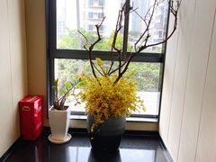-蒲叙(凯天国际店)