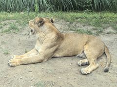 -北京野生动物园