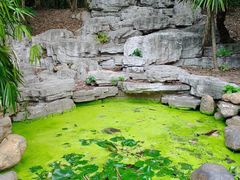 -深圳国际园林花卉博览园