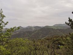 -金龙寺国家森林公园