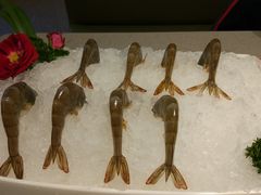 冻虾-海底捞火锅(凯德广场店)