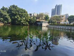 -荔湾湖公园