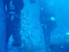 -多彩贵州城极地海洋世界