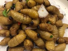 -轩记海鲜餐厅·四十五年老字号·经典粤菜(西区彩虹店)