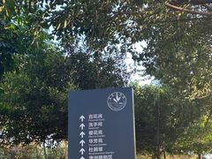-东莞植物园