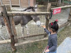 -祥源·阜阳生态乐园