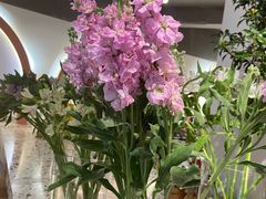 -匡小敏手工烘培(大地金墅店)