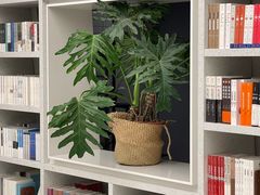 -二酉书店TOYOU BOOKS