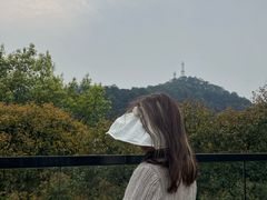 -南山植物园