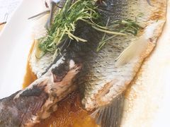 -水乡人家私房菜(逢简店)