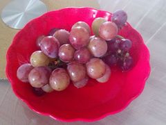 -乡乐园蟹庄·阳澄湖农家乐