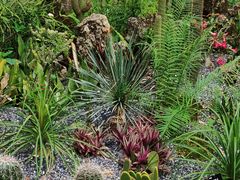-中国科学院西双版纳热带植物园