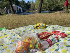 -上海共青森林公园