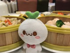 -半岛明珠