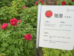 -太阳宫公园
