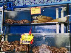 水产区-蚝专家(北滘店)
