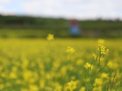 -鴜鹭湖生态旅游度假区