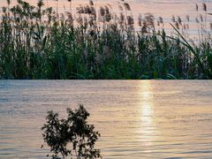 -花·fleur古董西餐厅(西城夜未央店)