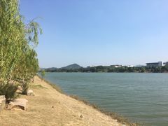 -羊山湖公园