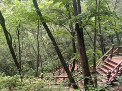 -大岭沟猕猴桃谷风景区