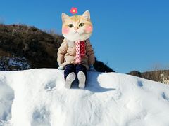 -蓟县盘山滑雪场