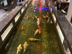 -唐山宴大唐州府精品中餐