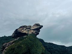 -海上云台山景区