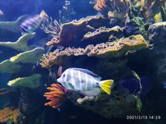 -多彩贵州城极地海洋世界