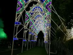 -别府杉乃井酒店