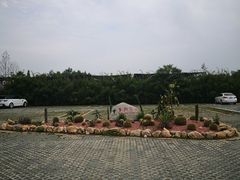 -夏河溪乡野公园