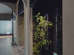 -隐溪茶馆(金虹桥店)