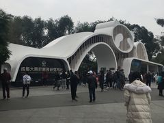 -成都大熊猫繁育研究基地