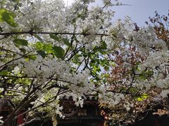-碑林公园