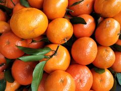 -红星农博物流中心