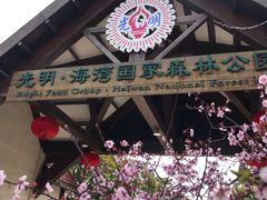 -上海海湾国家森林公园