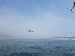 -星海湾跨海大桥