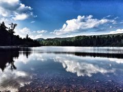 -五营红松林海景区