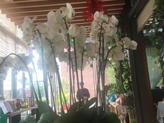 -若蘭慈·无国界素食料理(欢乐海岸店)