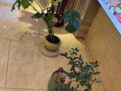 -古洼一锅鲜(开发区店)