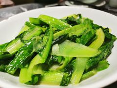 -壹盏灯(惠农店)