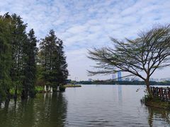 -海珠湖公园