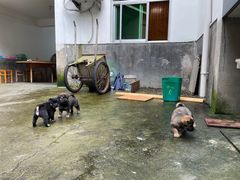 -途中饭店(开化店)