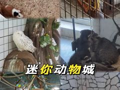 -海合安武汉极地海洋公园